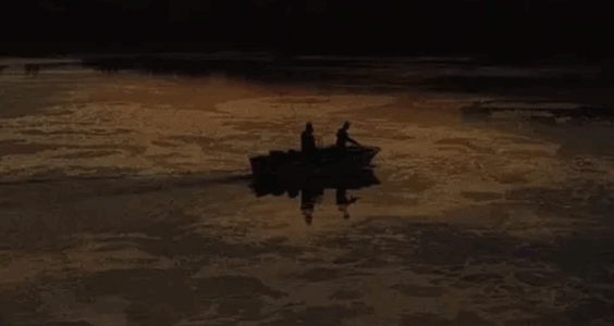 费里尼码字了｜每一则这样的新闻，都是最好的移民广告